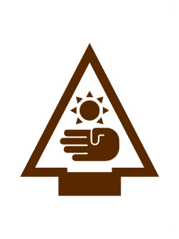 Engineer elective Adventure badge