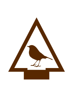 High Tech Outdoors elective Adventure badge