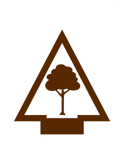 Into the Wild elective Adventure badge