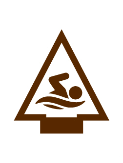Summertime Fun AOL elective Adventure badge
