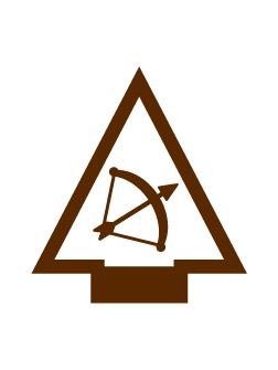 Swimming elective Adventure badge