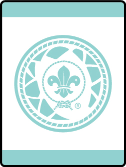 Bears on Bikes elective Adventure badge