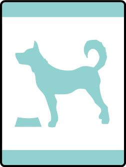 Chef Tech elective Adventure badge