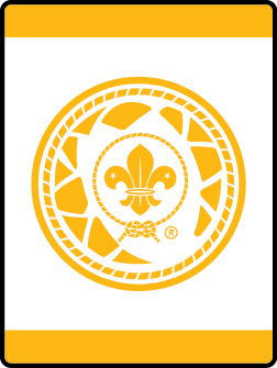 Build It Up, Knock It Down elective Adventure badge