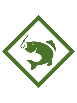 Build It elective Adventure badge
