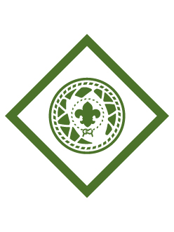 Catch the Big One elective Adventure badge