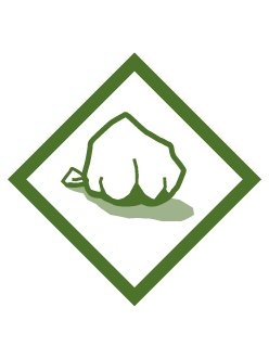 Chef’s Knife elective Adventure badge
