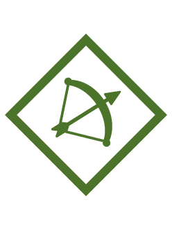 Yo-yo elective Adventure badge