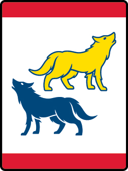 Safety in Numbers Adventure badge